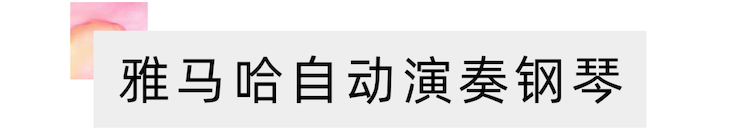 活动报道 | “科技助力，跨越时空”，小鹿纯子携手刘明康共享中日音乐盛宴