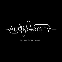 yl6809永利专业音响教育培训开展全新“Audioversity ”计划